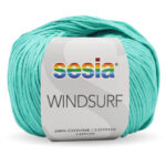 0479 WINDSURF