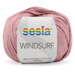 0817 WINDSURF