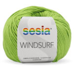 1451 WINDSURF