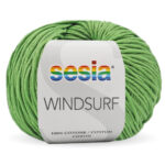 4498 WINDSURF