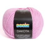 4517_Sesia_DAKOTA
