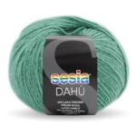 0485_Sesia_DAHÙ
