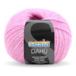 4517_Sesia_DAHÙ