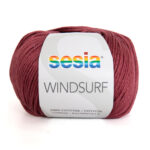 4843 WINDSURF