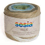 4981 IRIDE