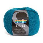 4569_Sesia_DAHÙ